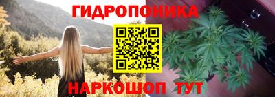прущие грибы Бугуруслан
