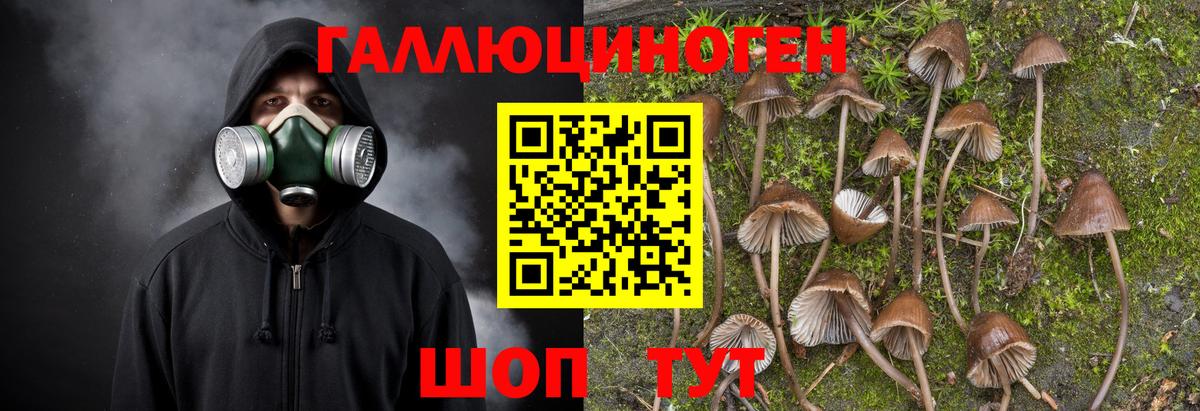 Галлюциногенные грибы GOLDEN TEACHER Черкесск
