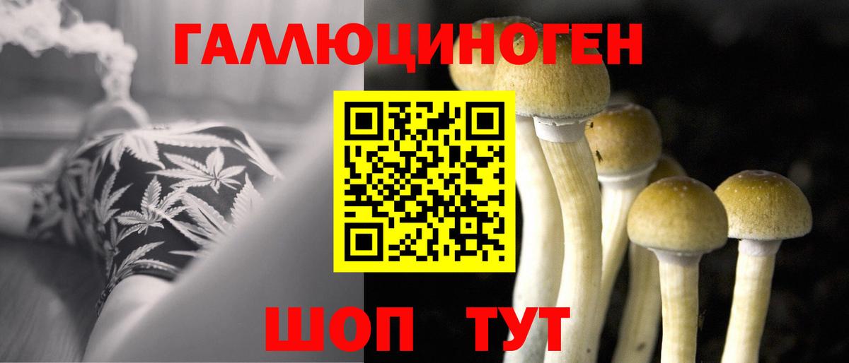 Черкесск  Псилоцибиновые грибы мицелий  Вход с VPN 